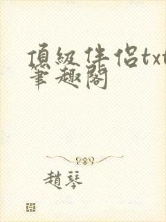 顶级伴侣txt笔趣阁