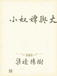 小奴婢与大少爷