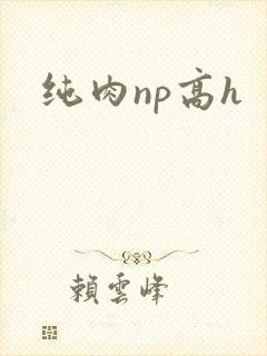 纯肉np高h