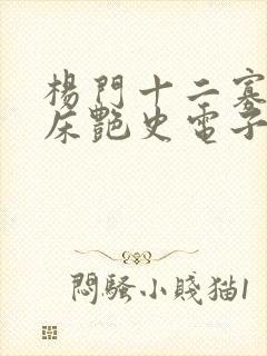 杨门十二寡妇肉床艳史电子书