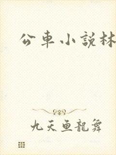 公车小说林蔓蔓
