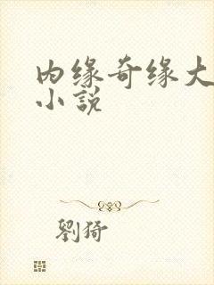 内缘奇缘大团圆小说