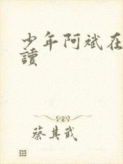 少年阿斌在线阅读