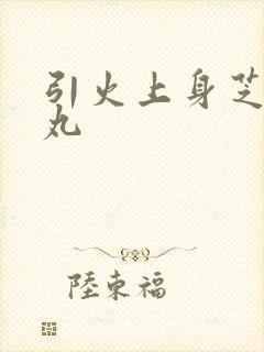 引火上身芝麻糖丸