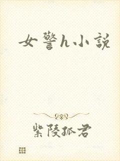 女警h小说