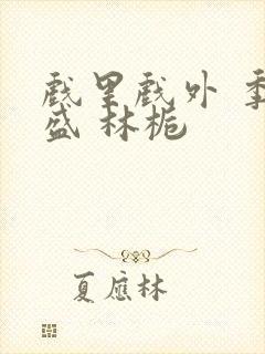 戏里戏外 季淮盛 林栀