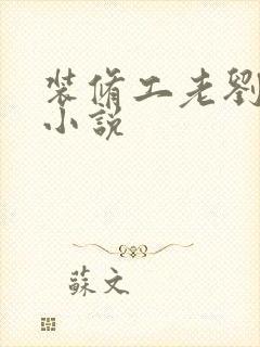 装修工老刘林雪小说