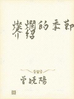 灿烂的季节剧情介绍