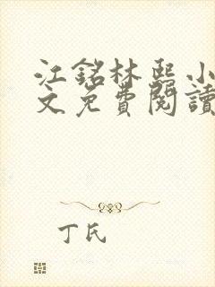 江铭林熙小说全文免费阅读