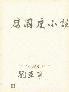 腐国度小说