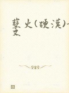 孽火(硬汉)今又