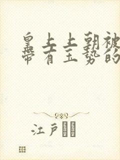 皇上上朝被迫坐带有玉势的龙椅