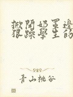 掀开奶罩边躁狠狠躁学生的小文字