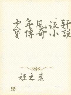 少年风流轩辕大宝传奇小说