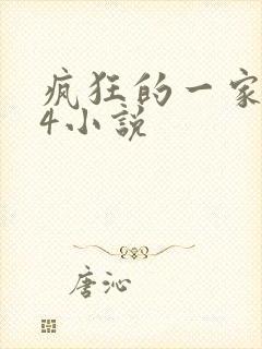 疯狂的一家ps4小说