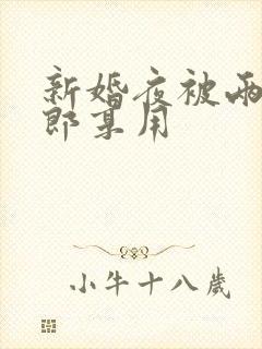 新婚夜被两个伴郎享用