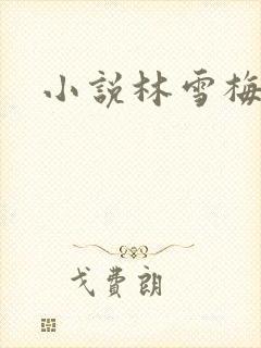 小说林雪梅