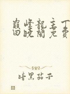 巅峰龙主丁长顺田晓兰免费阅读