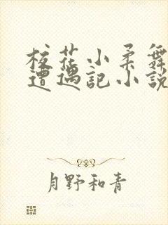 校花小柔舞蹈室遭遇记小说