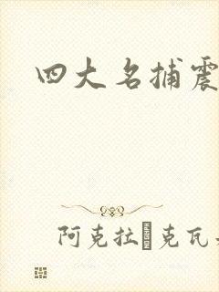 四大名捕震关东