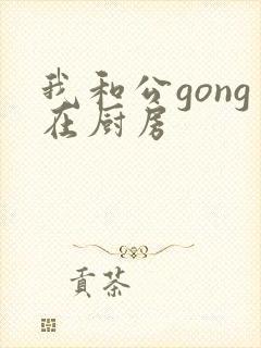 我和公gong在厨房