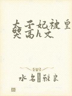 太子妃被皇上c哭高h文