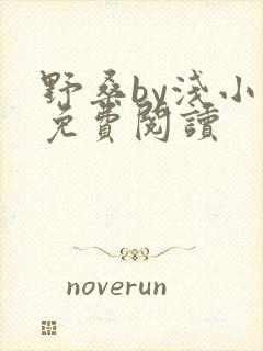 野桑by浅小说免费阅读