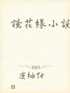 镜花缘小说