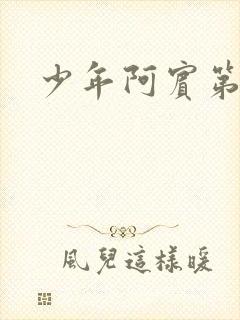 少年阿宾第二部