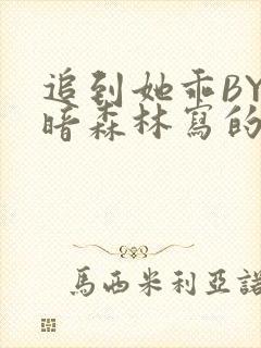 追到她乖BY黑暗森林写的小说