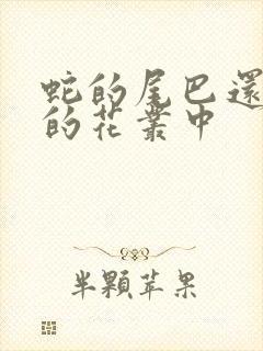 蛇的尾巴还在我的花丛中