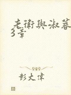 老卫与淑蓉第13章