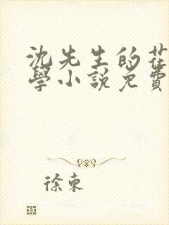 沈先生的花式教学小说免费