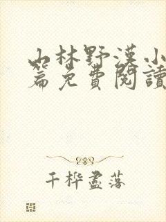 山林野汉小说全篇免费阅读