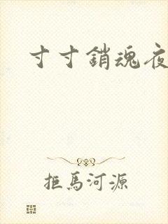 寸寸销魂夜春光