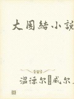 大团结小说下载