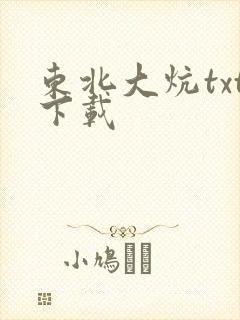 东北大炕txt下载