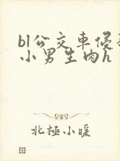 bl公交车侵犯小男生肉h