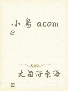 小鸟 acome
