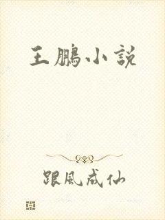 王鹏小说