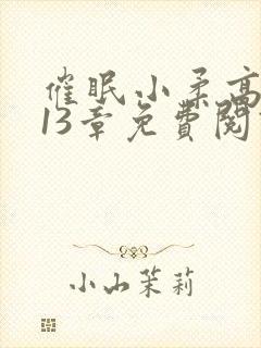 催眠小柔高达第13章免费阅读