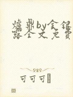 炉鼎by金银花露全文免费阅读笔趣阁