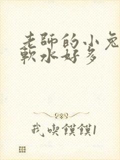 老师的小兔子好软水好多