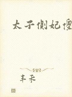 太子侧妃傻乎乎