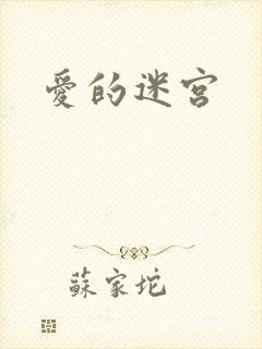 爱的迷宫