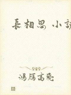 长相思 小说