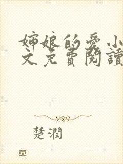 婶娘的爱小说全文免费阅读