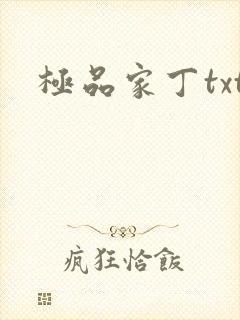 极品家丁txt