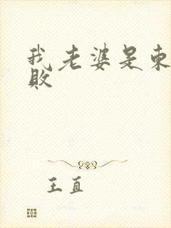 我老婆是东方不败