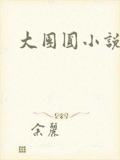 大团圆小说